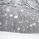 レミオロメン　粉雪