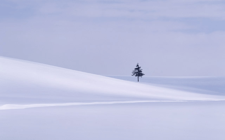 背景