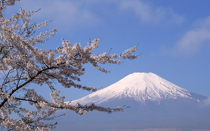 背景