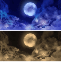 今週のタイピング練習