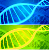 今週のタイピング練習