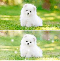 今週のタイピング練習