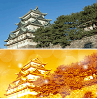 今週のタイピング練習