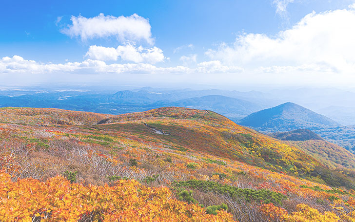 背景