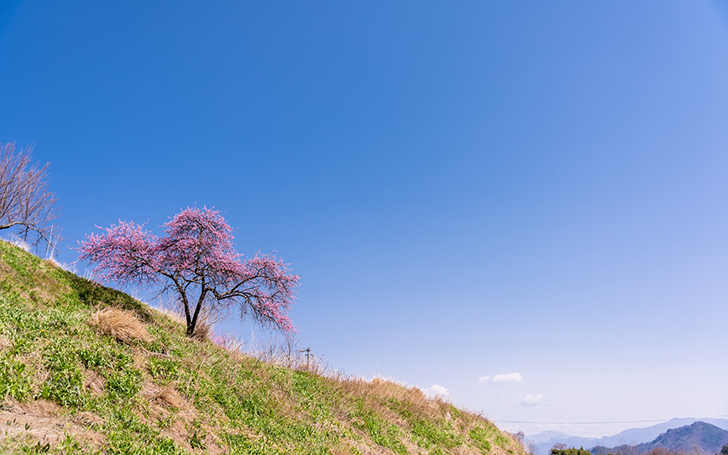 背景