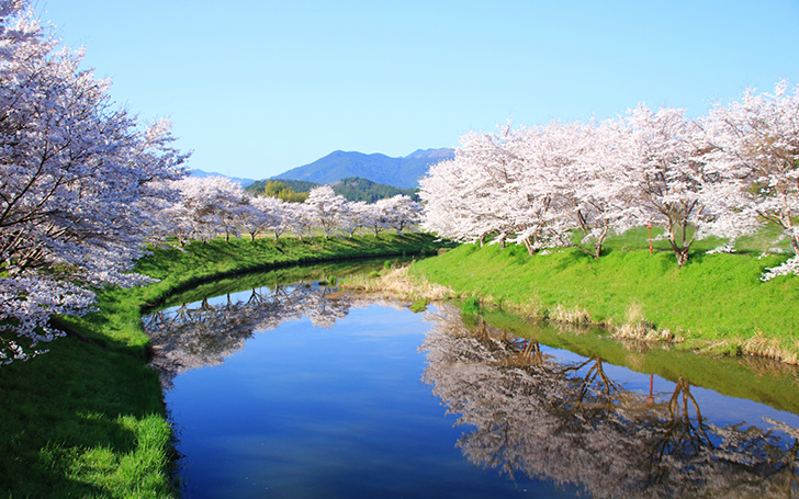 背景