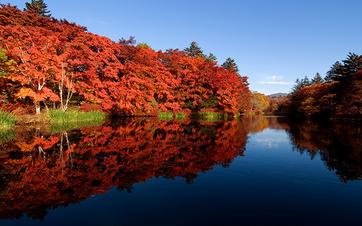 背景