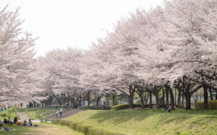 背景