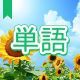 今週のタイピング練習385-単語