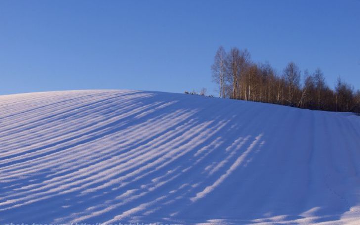 背景