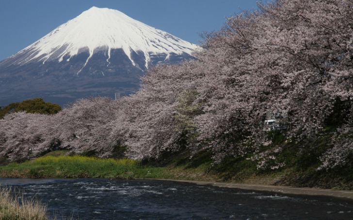 背景