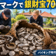 Eニュース2026年9月7日バイキング時の銀発見