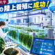 Eニュース2026年9月17日海苔の陸上養殖成功