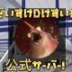 だいすけDけすいだのようつべ動画のタイトル