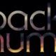 ブルーアンバー 【backnumber】