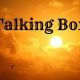 Talking Box