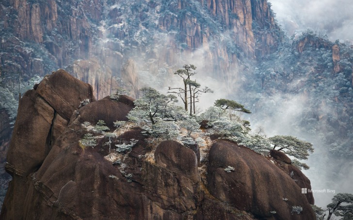 背景