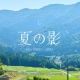 夏の影　一番　ミセス