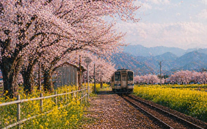 背景