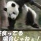 楽し***********
