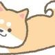 いぬ一回