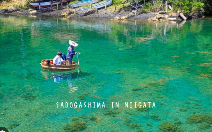 背景