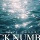 ブルーアンバー/back number