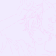 WACHA☆WACHA  ( サビだけ ~ )