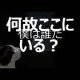 ノラボク