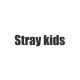 Stray kids   member