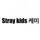 Stray kids  ケミ