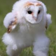 えっほえっほ