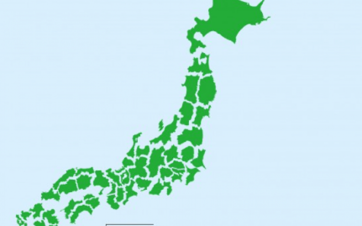 背景