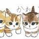 猫タイピング