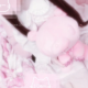 〜♡  テレパシー　サビ  ♡〜