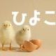 ひよこ一回