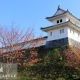 栃木の有名な城