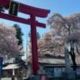 塩谷地方の神社