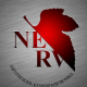 NERVって一回!