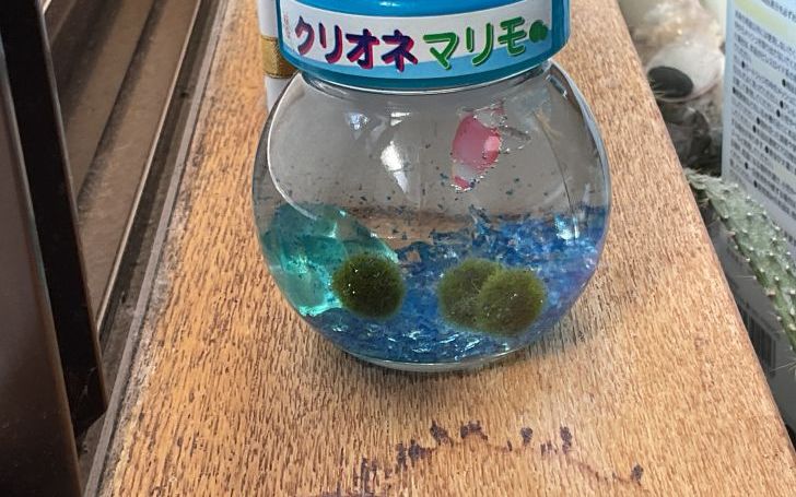 背景