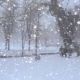 雪が降ってきた