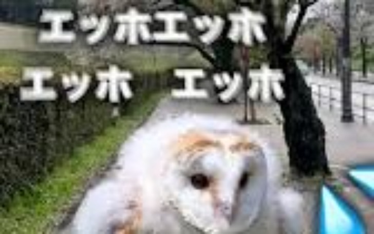 背景