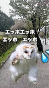 背景