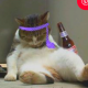 一億％ミスなしでできないタイピング
