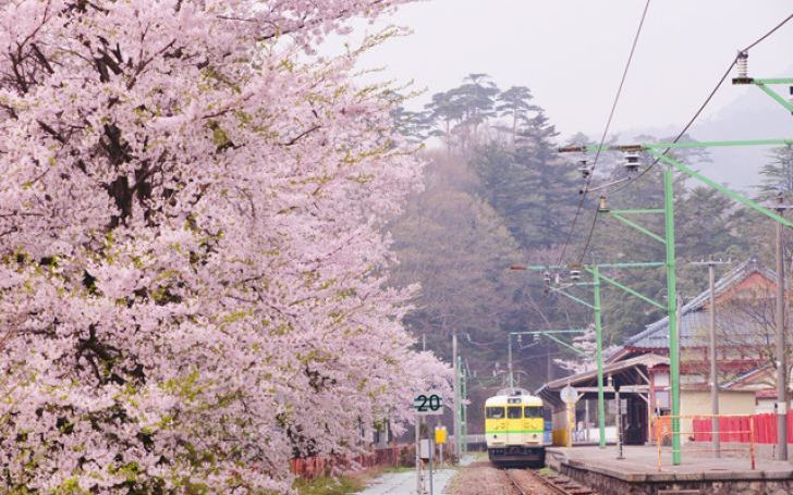 背景