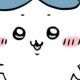ハチワレ　一回！