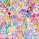 プリキュアタイピング