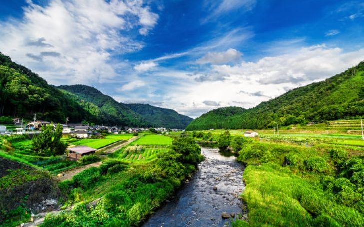 背景