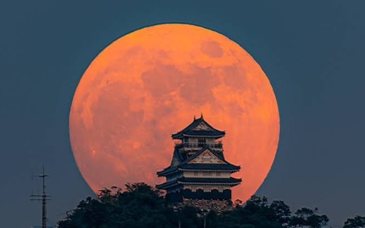 背景