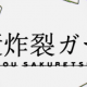 脳漿炸裂ガール